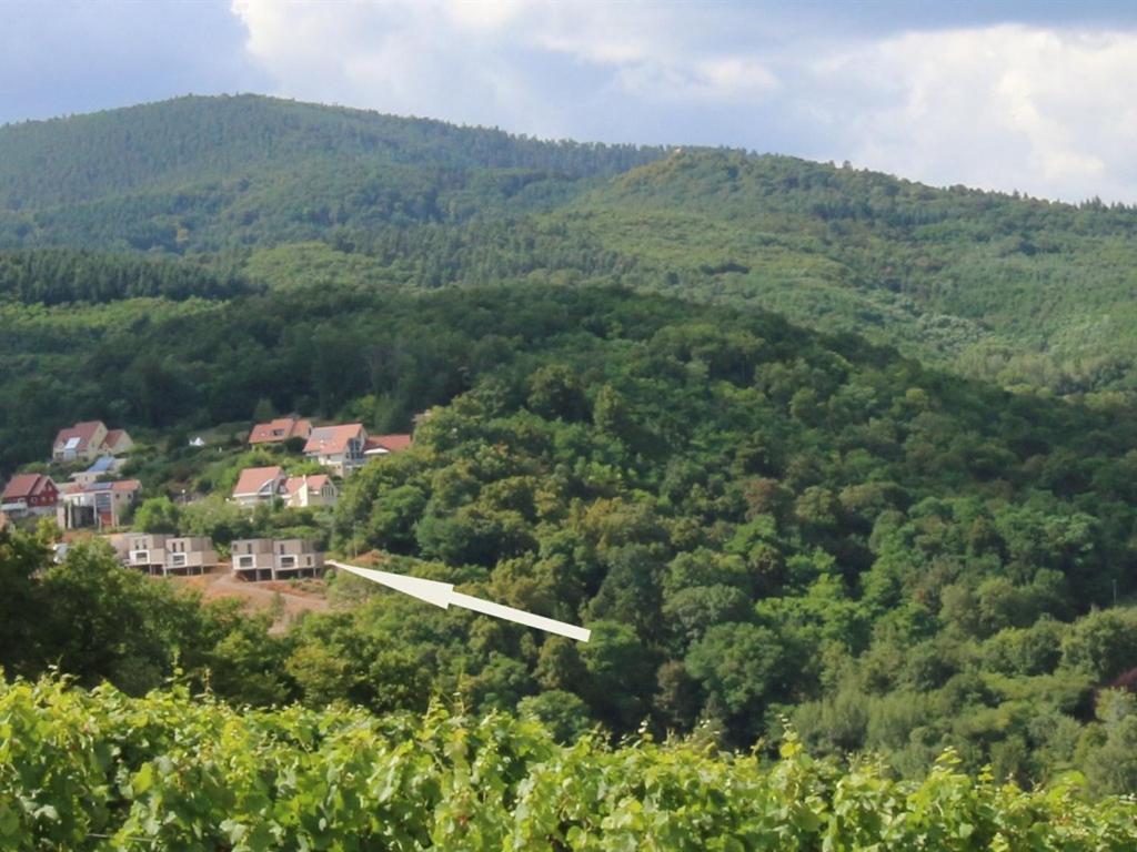 Alsace Panorama Villa Barr Kültér fotó